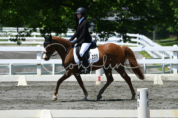 HSM_1553