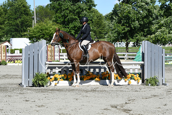 HSM_9138