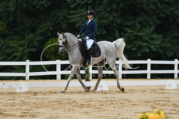 HSM_9463