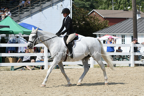 HSM_9316