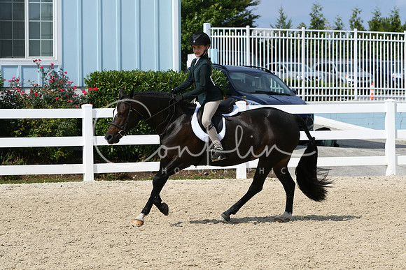 HSM_6443