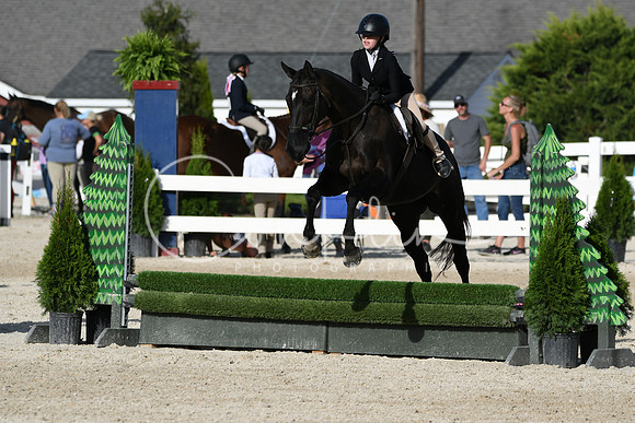 HSM_4282