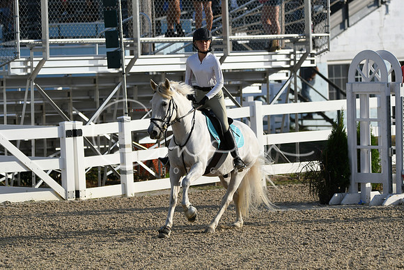 HSM_1079