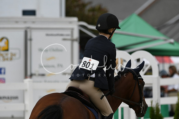 HSM_2625