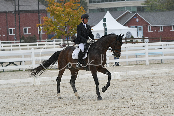 HSM_0495