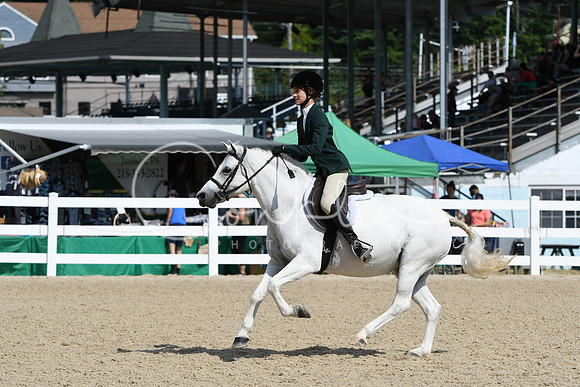 HSM_6329