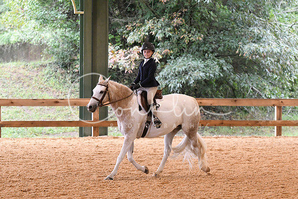HSM_5319