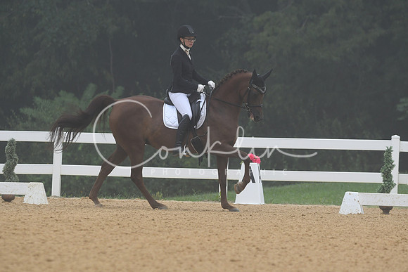 HSM_0817