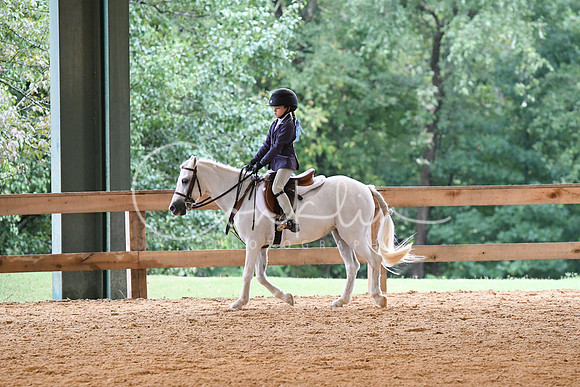 HSM_5323