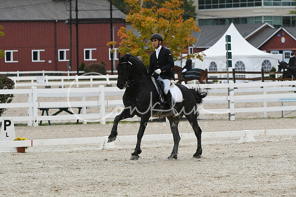 HSM_0194