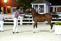 HSM_5906