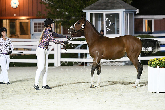 HSM_5906