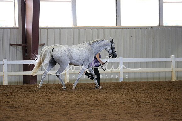 SRCX2063