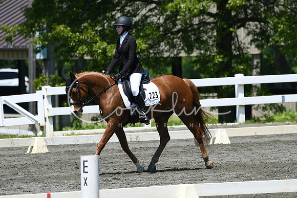 HSM_1549