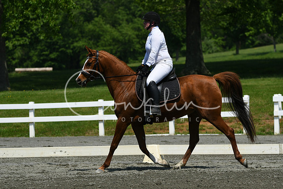 HSM_2195
