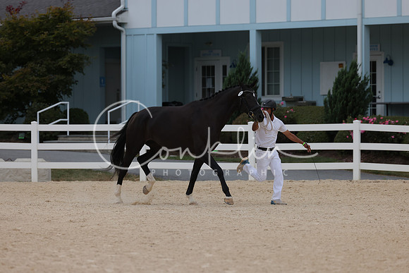 HLK_2252