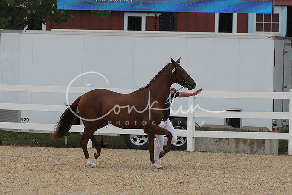 HLK_3649