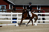 HSM_6784