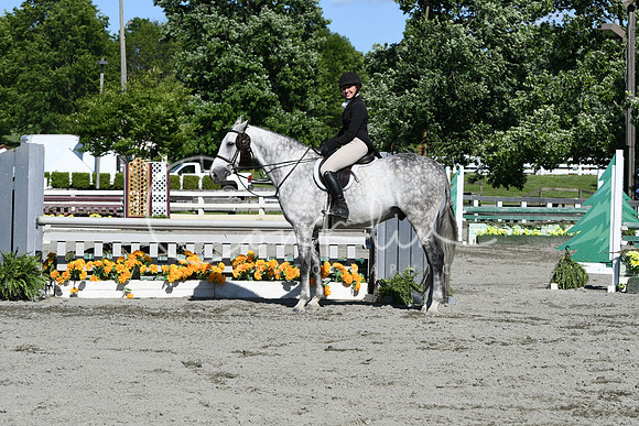 HSM_9173