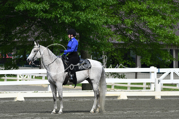 HSM_2582