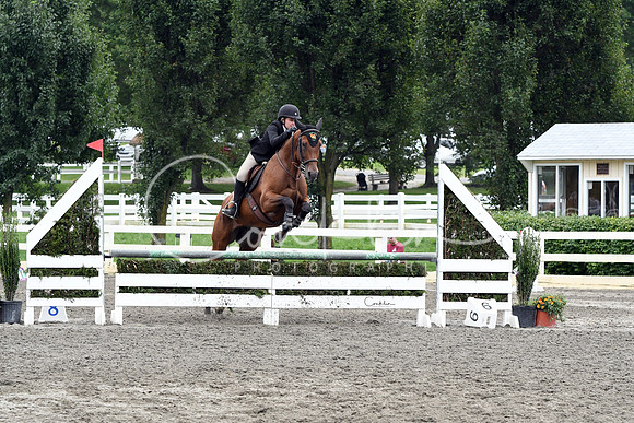 HSM_8598-1