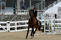 HSM_3167