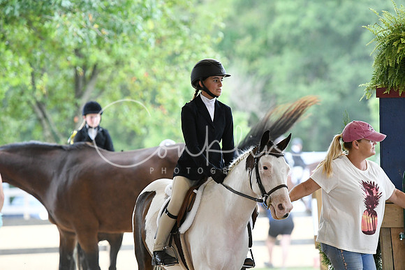 HSM_9823