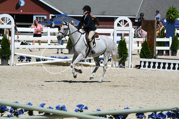 HSM_3243
