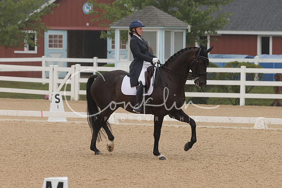 HLK_0619