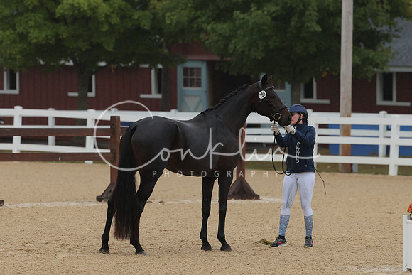 HLK_3697