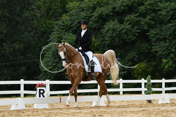 HSM_0266