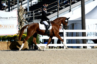HSM_3608-1