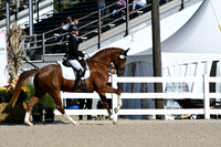 HSM_3622-1