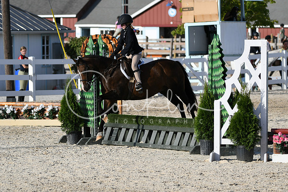 HSM_4447
