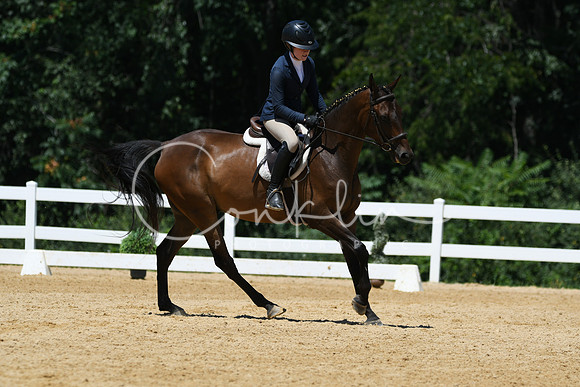 HSM_1358