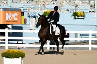 HSM_4302