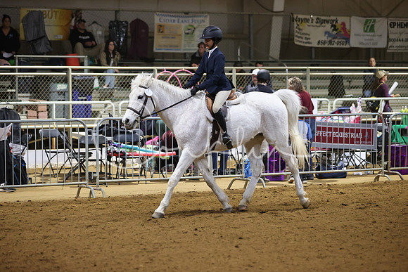 RJC33872