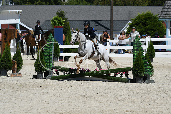 HSM_3288