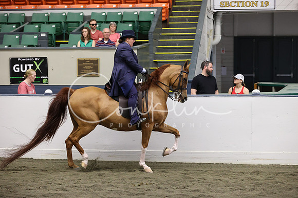 RJC38132