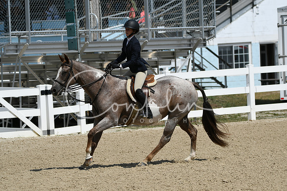 HSM_6636