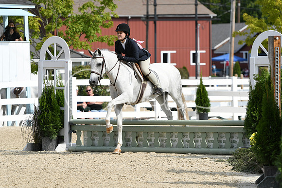 HSM_6195