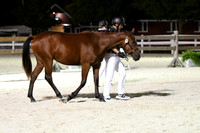 HSM_5886