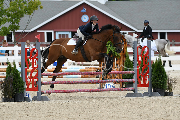 HSM_2663