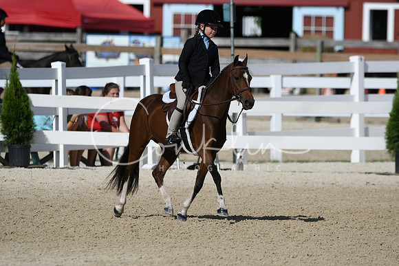 HSM_3908