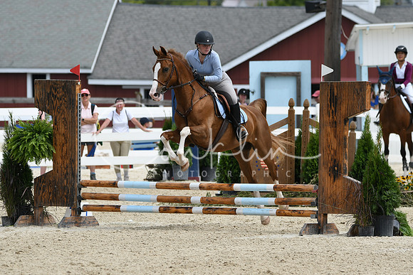 HSM_2519