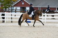HSM_0227