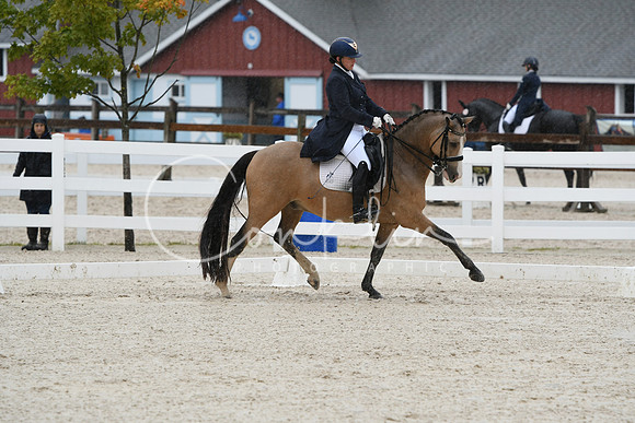 HSM_0227