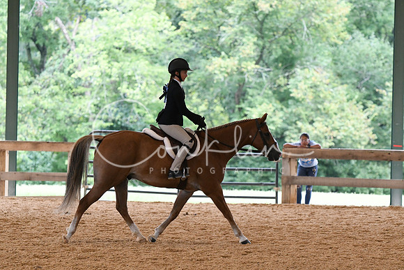 HSM_6355