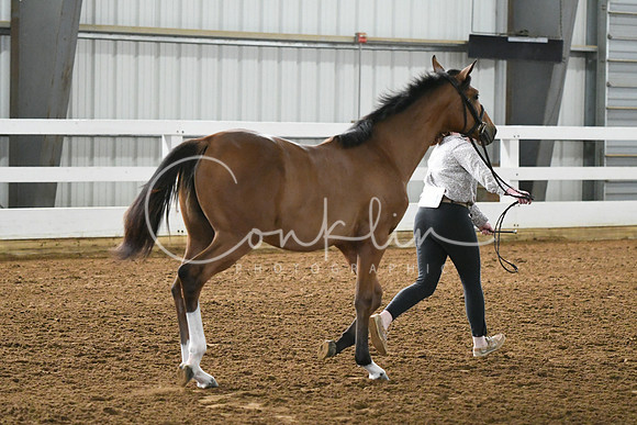 HSM_3635