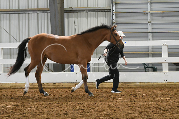HSM_3728